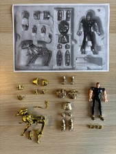 Chevalier d’Or Saint Seiya Lion gardien de la 5ème maison du zodiaque et frère d