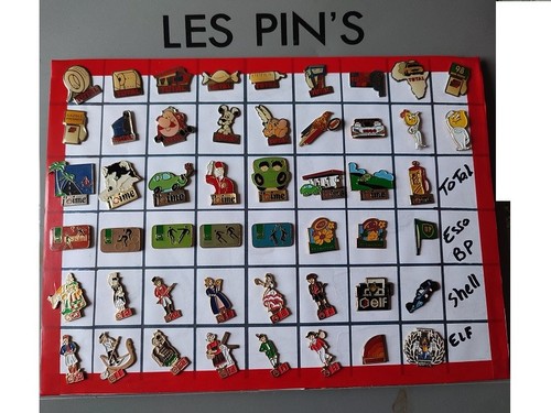 Lot pin avec attaches - 50,