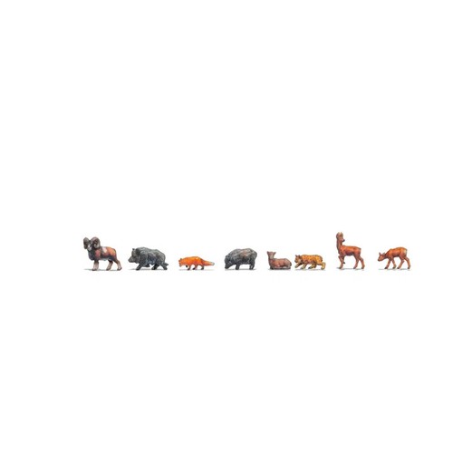 Animaux forêt noch - la,