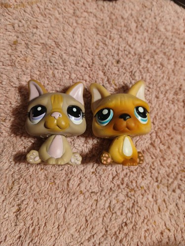 Lot set littlest - set,