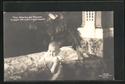 Prince hubertus allongé - hubertus,
