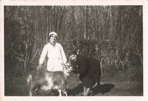 Ancienne photo 1936 - 1936, rita