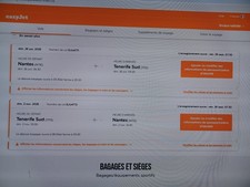 billet d'avion pour Ténérife du 26 octobre au 2 novembre au départ de Nantes