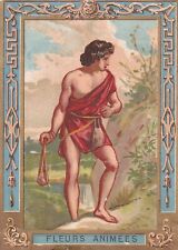 Chromo Chocolat Poulain Fleurs