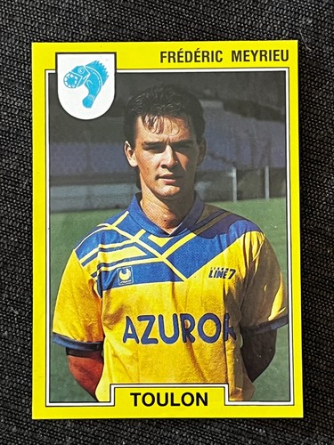 Vignette sticker panini - panini, foot
