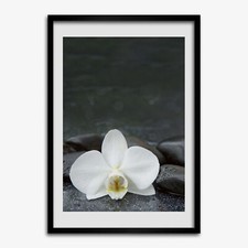 Photo 50x70cm Cadre Le salon MDF Décor Pierres d'orchidées