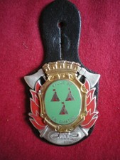 insigne de pompiers pucelle