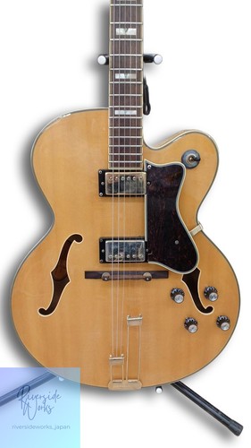 Guitare acoustique complète