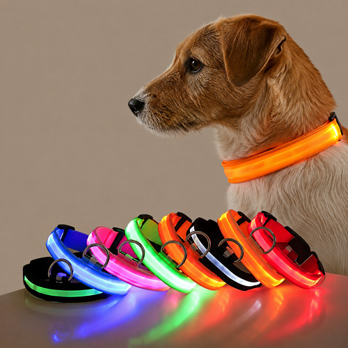 Laisse chien led lumineuse - chien,