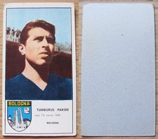 Figurine Géante Football