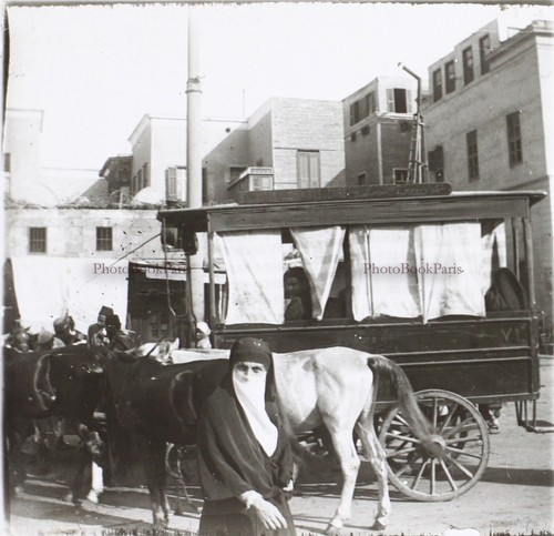 Egypte voiture hippomobile - egypte,