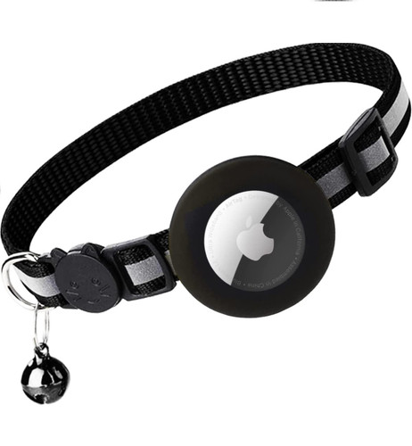 Collier chat chien