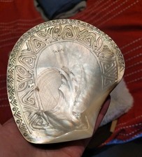 Ancienne coquille d'huître