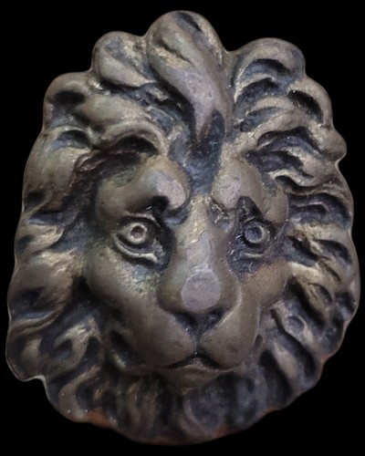 Petite tete lion - petite,