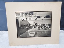 Photographie Noir Et Blanc De