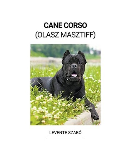 Cane corso olasz masztiff - corso, masztiff]