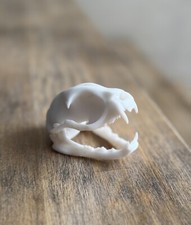 crâne animal imprimé en