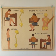 Affiche pédagogique scolaire - affiche,