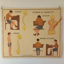 Affiche pédagogique, scolaire - Tableau des sciences ROSSIGNOL - Années 50 - 60