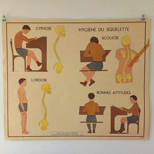 Affiche pédagogique scolaire - affiche, pédagogique,