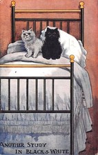 CPA FANTAISIE REPRESENTANT 2