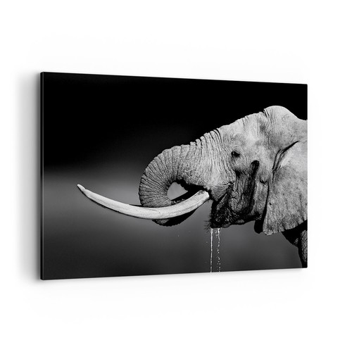 Impression sur toile 120x80cm - impression,