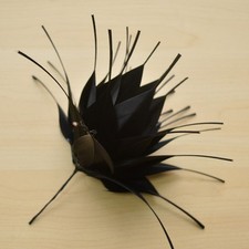 Fleurs Bourgeons Plumes