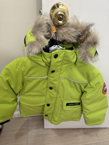 Canada goose toddler - goose, green