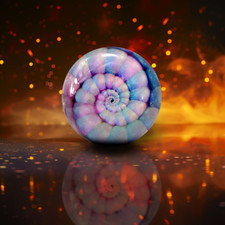 Bowling Ball SEASHELL STRI boule de bowling pour Spare Strike Funball avec motif