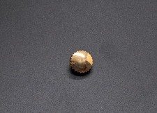 Pièce De Remplacement Originale ANGELUS. Calibre. 240 - Pièce. 2023/B.