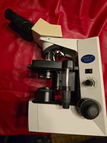Microscope binoculaire olympus - microscope,