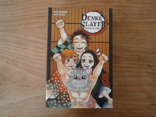 Coffret demon slayer - demon, +