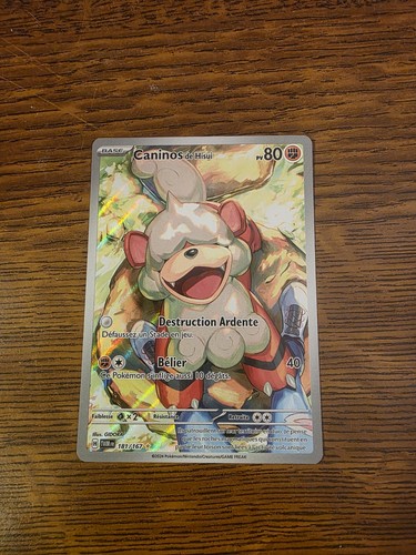 Carte pokémon secrète - pokémon,