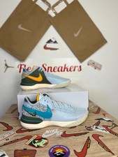 Baskets Nike Zoom Lebron NXXT