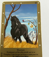 CARTE BELLA SARA RARE SHAMAN