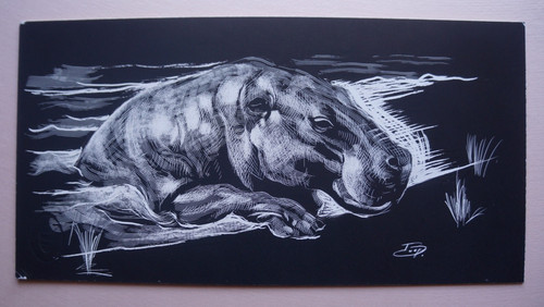 Scratchboard hippopotame du - ,