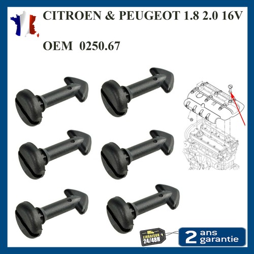 Vis fixation cache - 6,