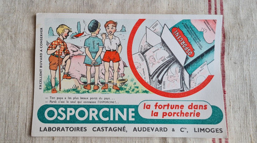Ancien buvard publicitaire - buvard,