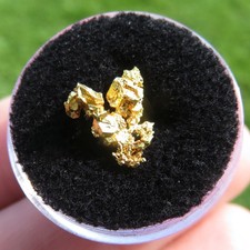 Minéraux PÉPITE d'Or