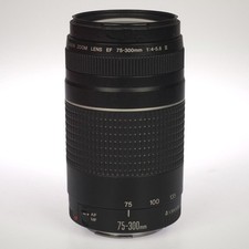 Objectif Canon EF 75-300