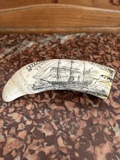 Dent cachalot ,morse en