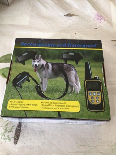 Collier dressage pour - dressage, chien