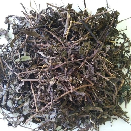 Moustaches chat herbe 500 - herbe, g