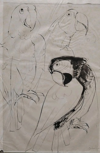 Beau dessin encre etude - beau,
