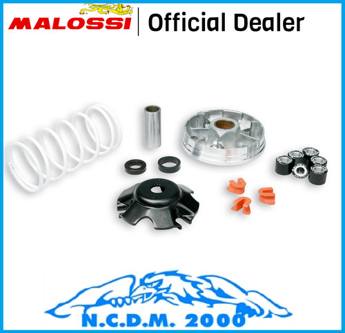Nouveau vario malossi multivar - nouveau,