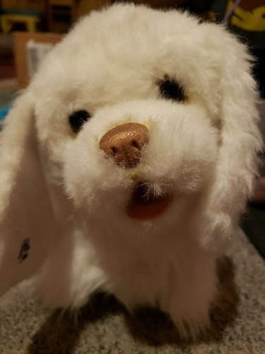 Furreal friends gogo - , my