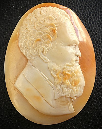 Camee coquille xix - coquille, homme