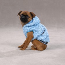 Casual canine snowbaby - canine, warm
