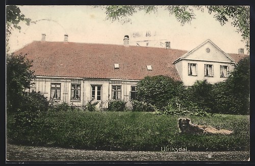 Carte postale ulriksdal chien - carte,