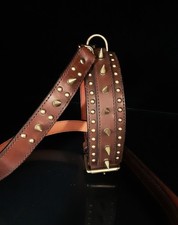 Collier pour chien » MOLOSSE